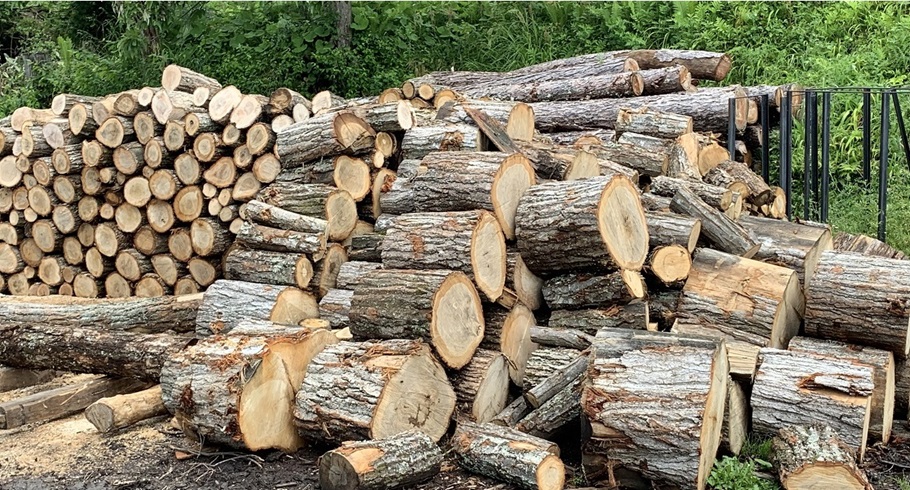 七二会森林クラブ